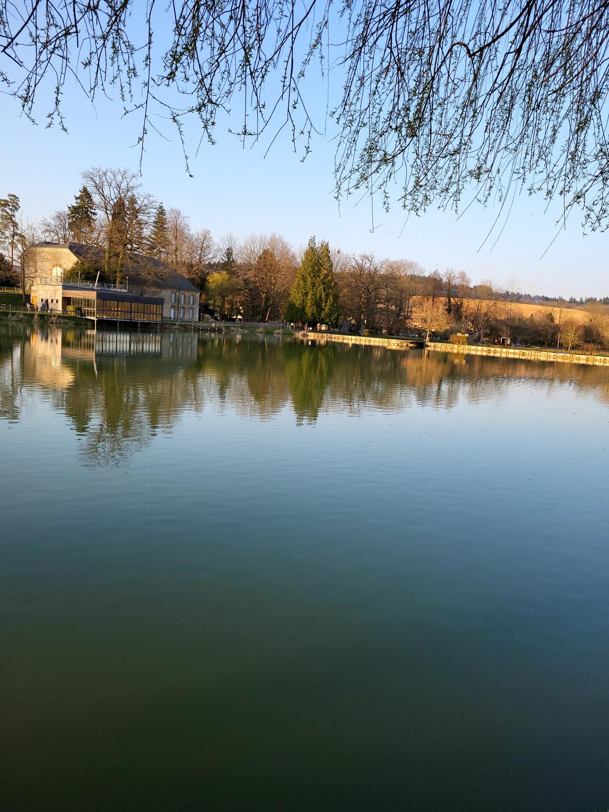 CANICULE : LA PISCICULTURE FERME SES ÉTANGS POUR PRÉSERVER LE BIEN-ÊTRE DES POISSONS