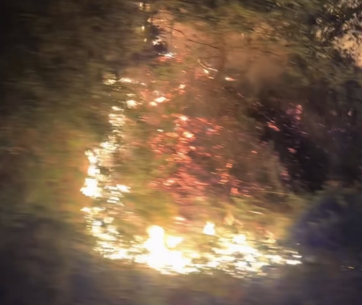 INCENDIE DE FORÊT : SIX HECTARES RAVAGÉS PAR LES FLAMMES