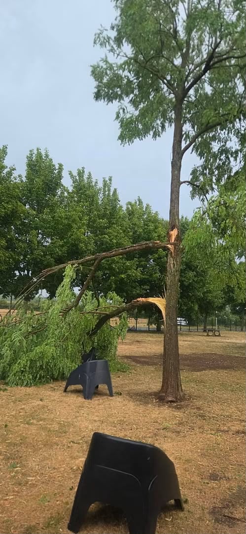 « PAR SÉCURITÉ, ON NE POURRA PAS OUVRIR AUJOURD’HUI » : LE DOMAINE DE DOUZY FAIT FACE AUX DÉGÂTS APRÈS LA TEMPÊTE
