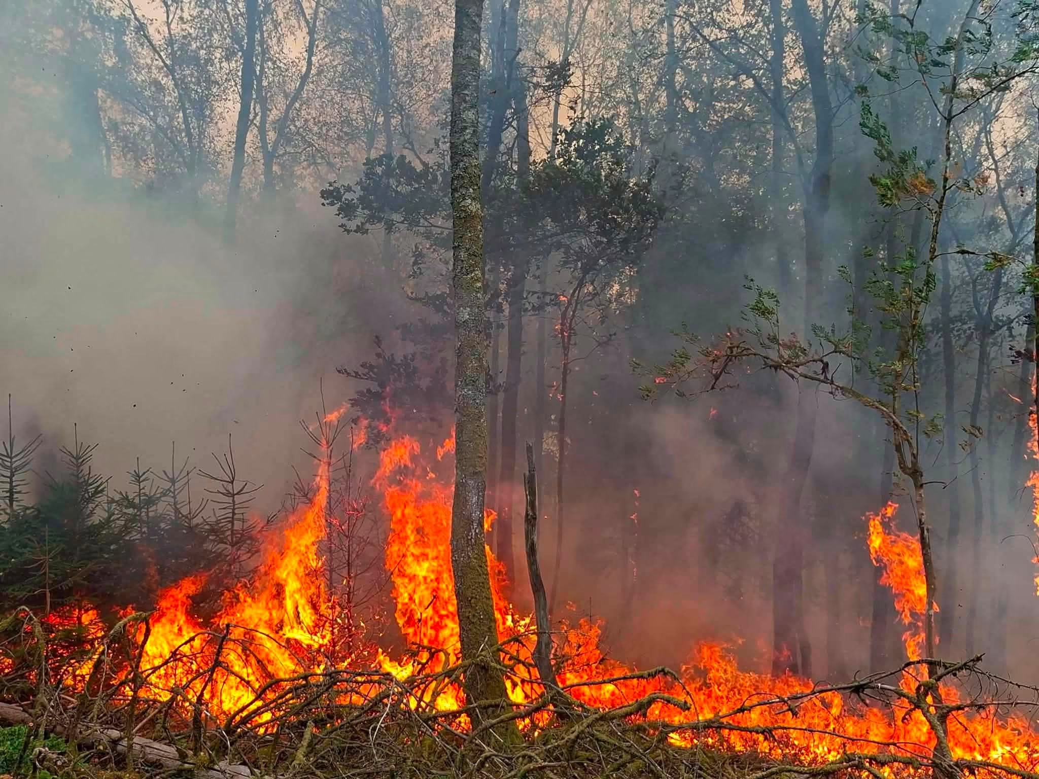 LE FEU EST DÉSORMAIS MAÎTRISÉ APRÈS AVOIR RAVAGÉ 95 HECTARES