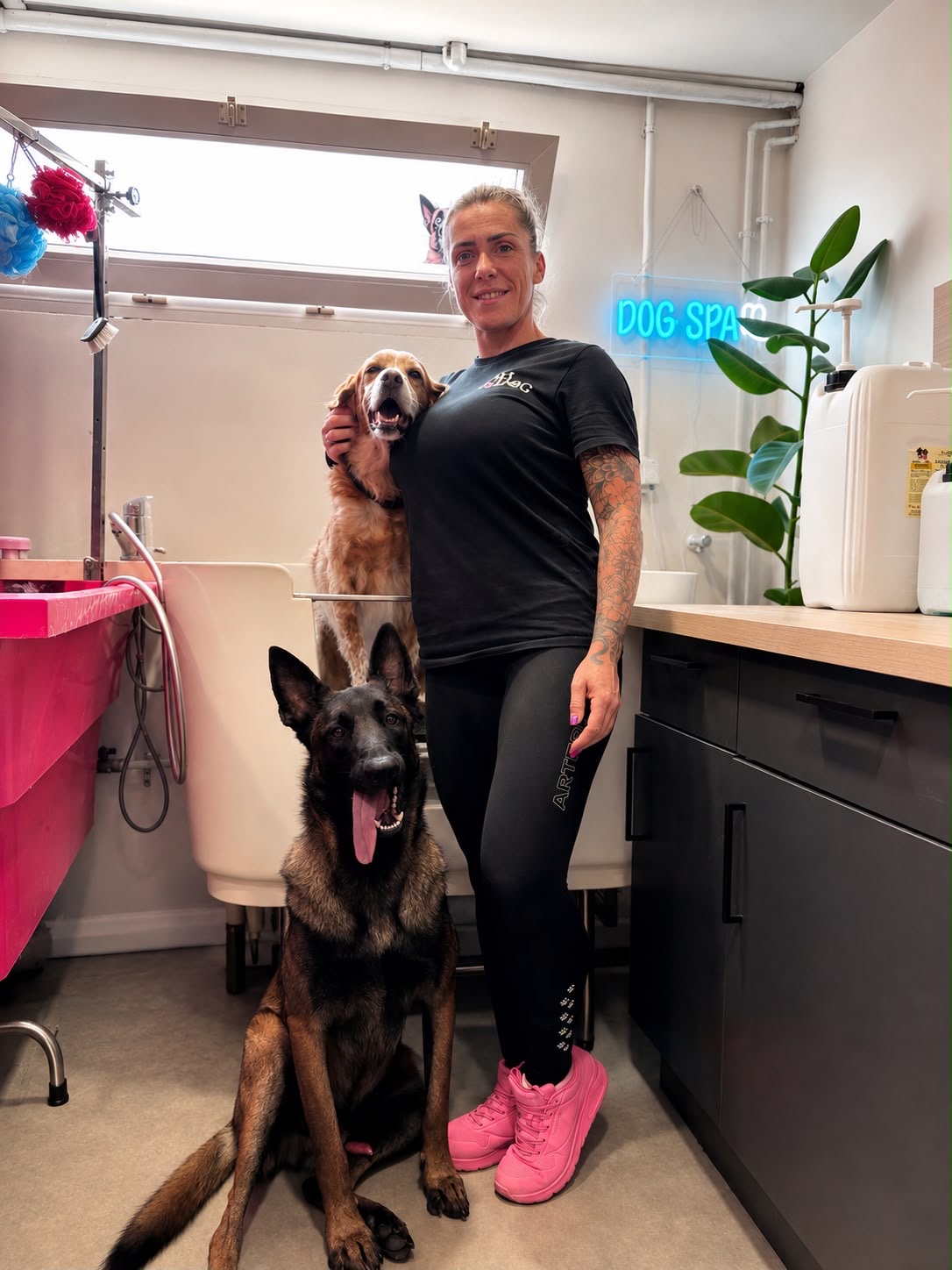 UN SPA RÉSERVÉ AUX CHIENS VA OUVRIR SES PORTES