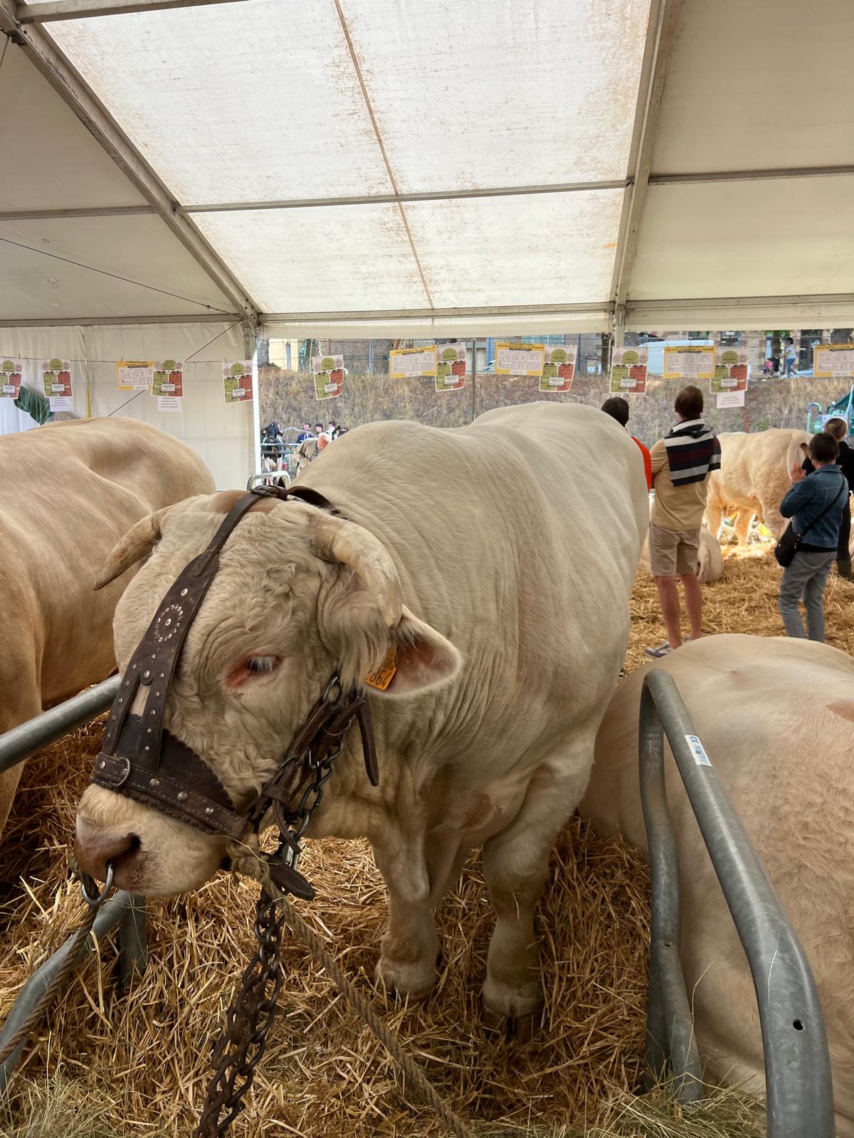 TOP DÉPART POUR LA FOIRE AGRICOLE