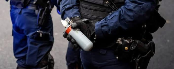 UNE FEMME ENCEINTE DE QUATRE MOIS PROJETÉE AU SOL SOUS LES YEUX DES POLICIERS