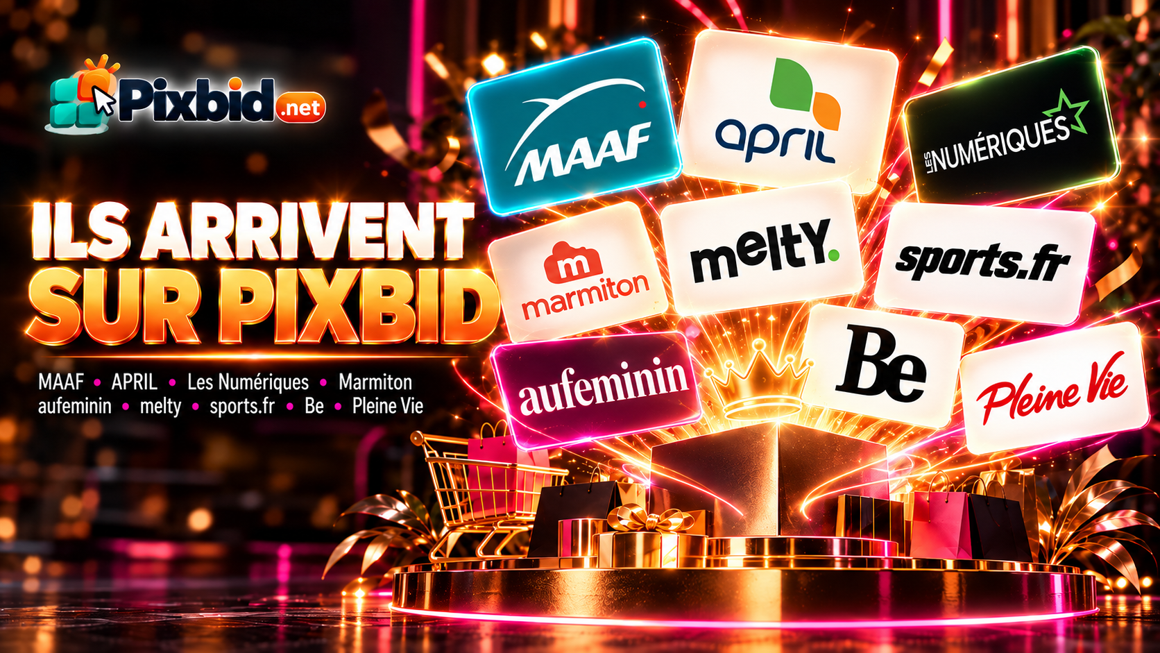 Pixbid transforme un million de pixels en espace publicitaire aux enchères