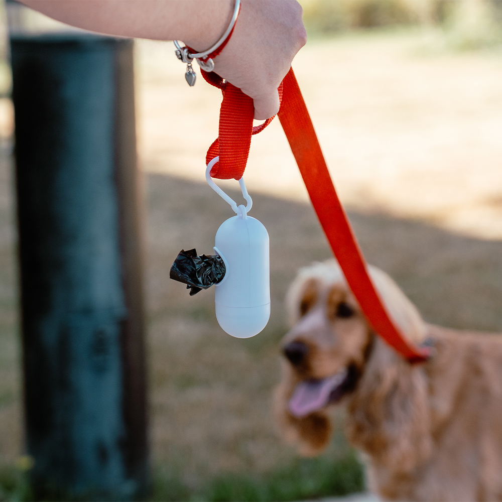 DÉJECTIONS CANINES : LA VILLE MUSCLE LE JEU, LES CONTRAVENTIONS ARRIVENT EN DÉCEMBRE - SEDAN