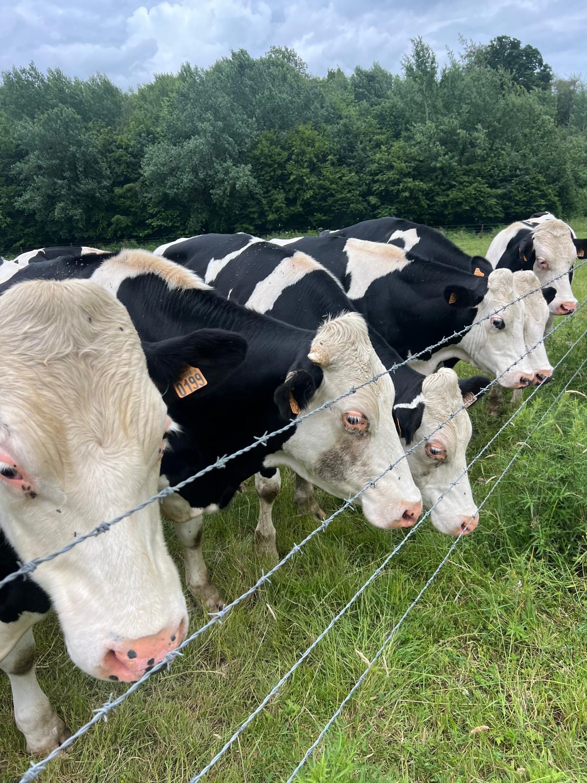 624 000 EUROS D’AIDES DÉJÀ VERSÉS AUX AGRICULTEURS TOUCHÉS PAR LA SÉCHERESSE - ARDENNES