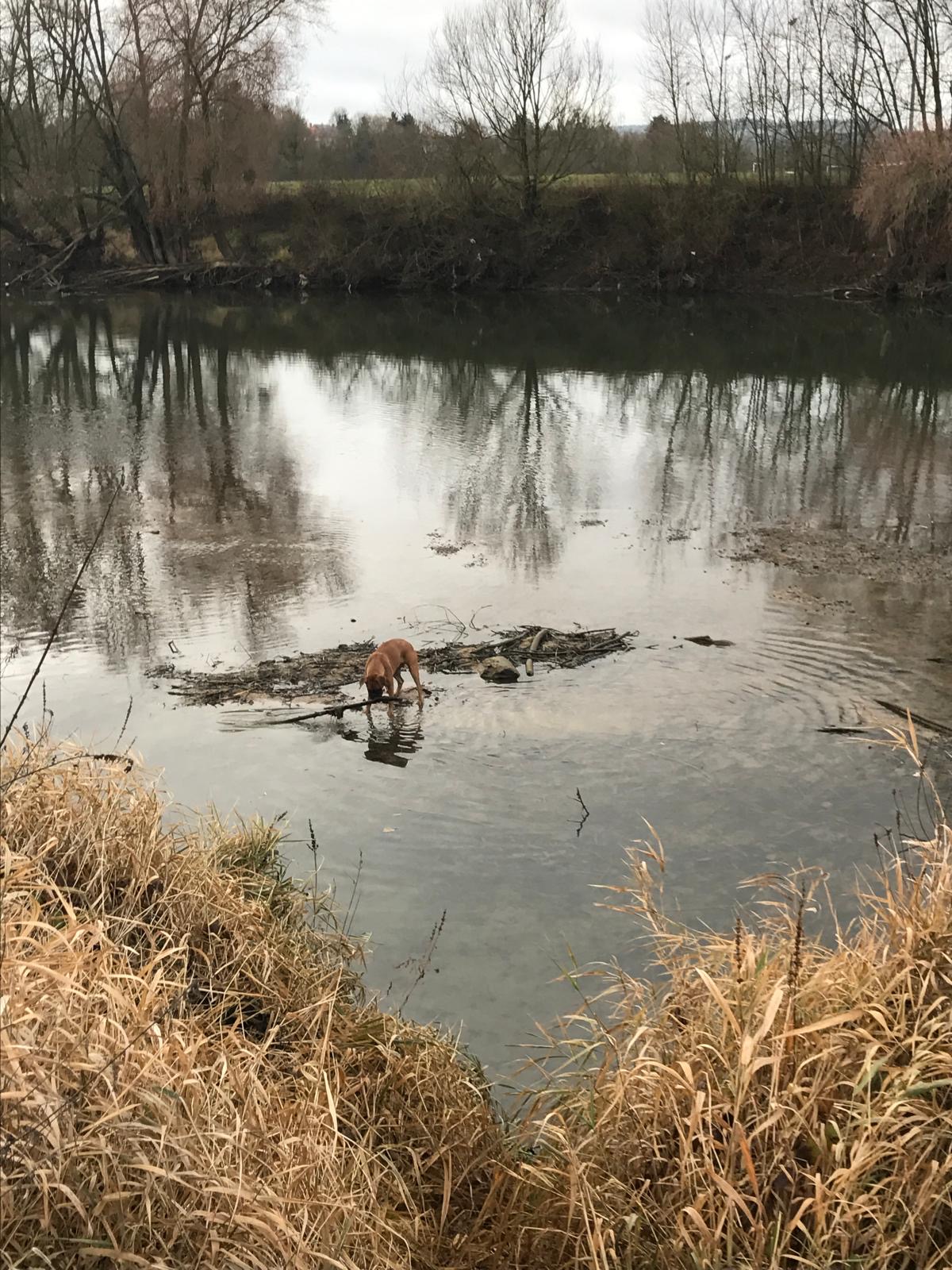 UNE SÉCHERESSE EXCEPTIONNELLE ET DES RESTRICTIONS D’EAU PROLONGÉES