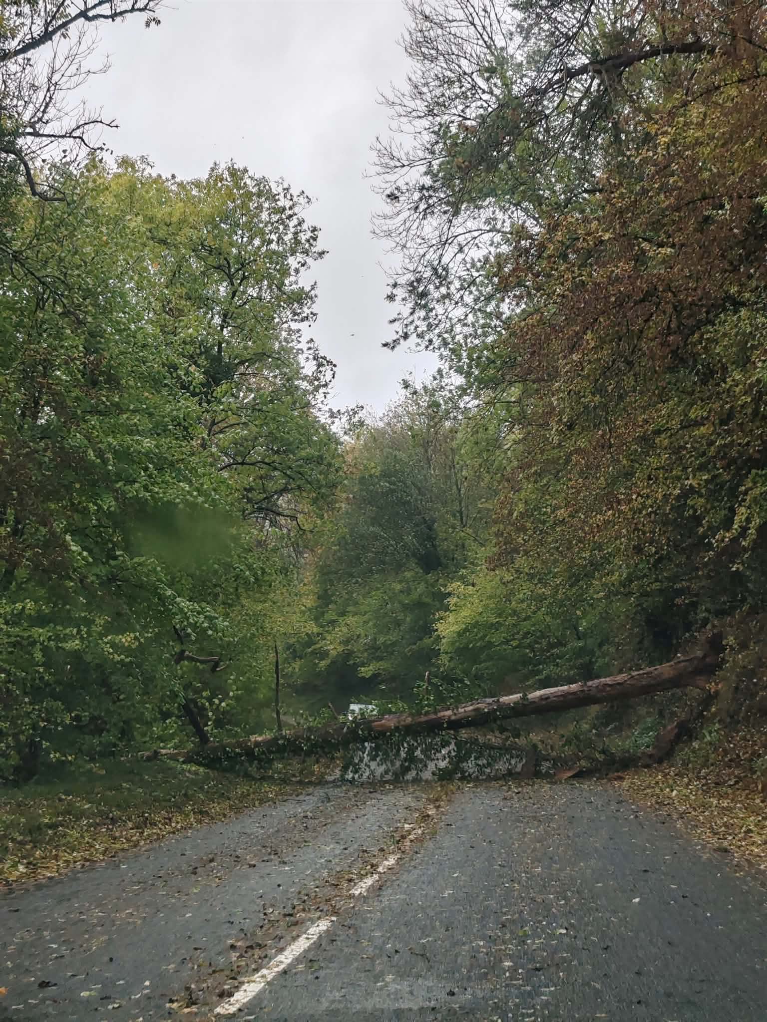 TEMPÊTE AUSTEN : UN ARBRE TOMBE SUR LA CHAUSSÉE ENTRE MONTCY ET AIGLEMONT