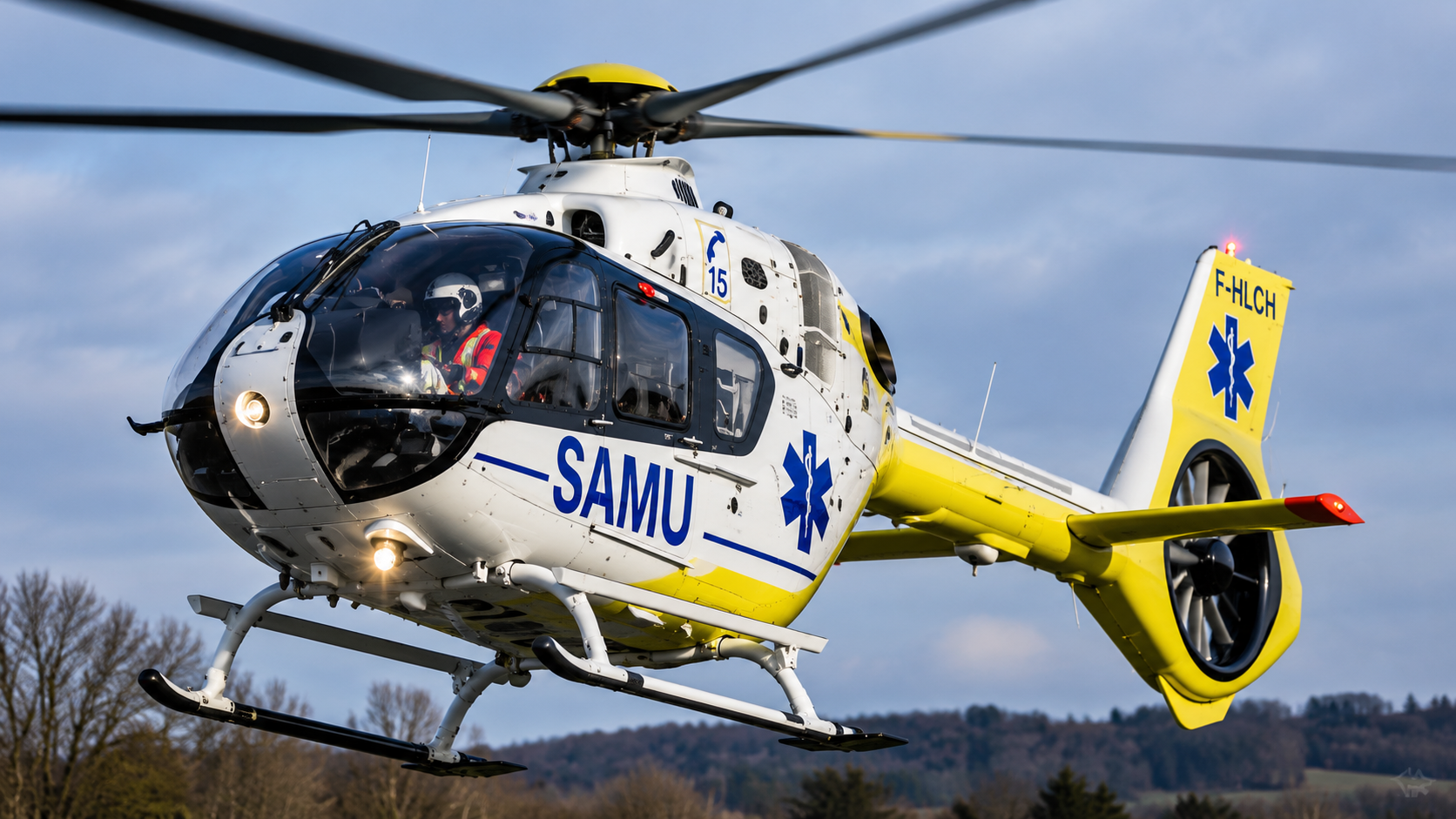 UN BÛCHERON GRAVEMENT BLESSÉ PAR LA CHUTE D’UN ARBRE
