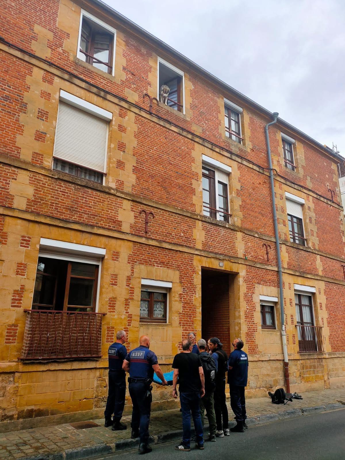 UN CHIEN SAUVÉ D’UNE CHUTE IMMINENTE PAR LES ASVP ET LA POLICE MUNICIPALE